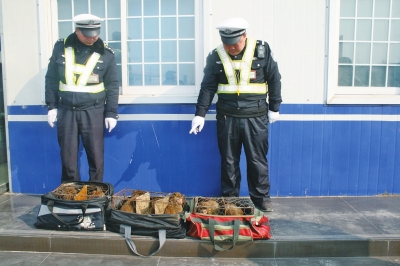 民警查獲的乘客行李包中，裝的全是獼猴。