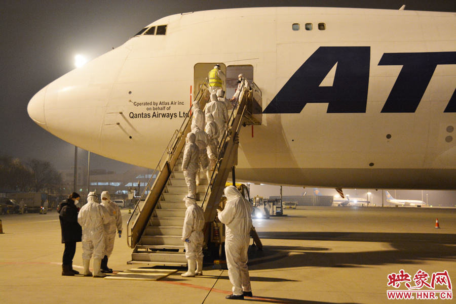 千只澳大利亞種羊“打飛的”落戶河南 創(chuàng)國內(nèi)多個(gè)第一