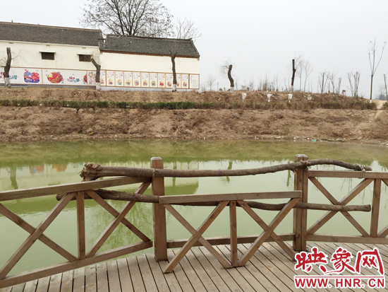 護(hù)欄損毀的地方，已經(jīng)被兩根樹干擋住。