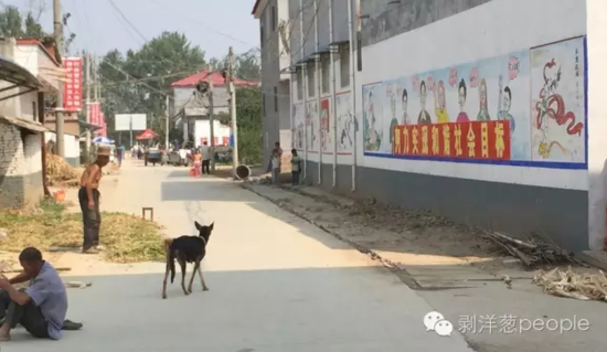 孫莊村一角。新京報記者安鐘汝 攝