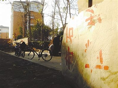 昨日，“上海奇石盆景博物館”原址上，已矗立起小區(qū)樓盤，而刻著博物館名的巨石，廢棄在一旁。本版圖片/新京報記者 張永生 攝