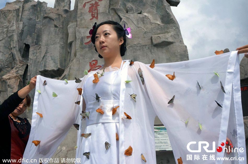 “蝴蝶仙子”身穿上百只剛剛扎死的蝴蝶。圖片來源：老祝/東方IC