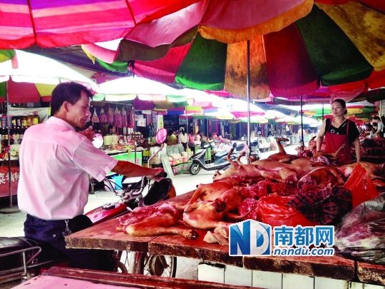  昨日，玉林垌口市場(chǎng)，一位市民在購(gòu)買狗肉。
