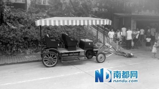 園方則稱解剖后發(fā)現馬死于心臟衰竭，“與累無關”。