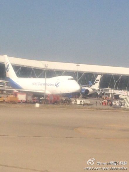 圖說：發(fā)生事故的飛機。圖片來源：新浪微博網(wǎng)友圖（請私信“新民晚報新民網(wǎng)”以奉稿酬）