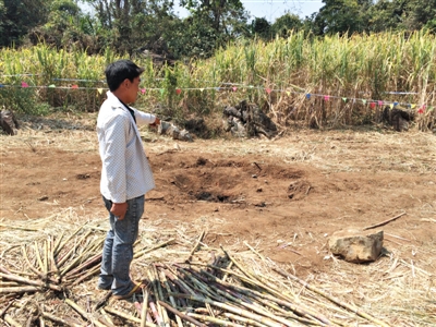 昨日，在大水桑樹村，村民向記者展示13日造成5死8傷的炸彈事件彈坑。
