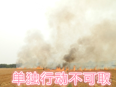不要單獨一個人亂沖亂打：單獨行動被煙氣沖昏倒地，無人發(fā)覺被燒；