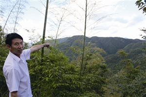 村民吳學(xué)田告訴記者，對面兩座山就是潘建友承包的部分山場 見習(xí)記者 邱一文 攝