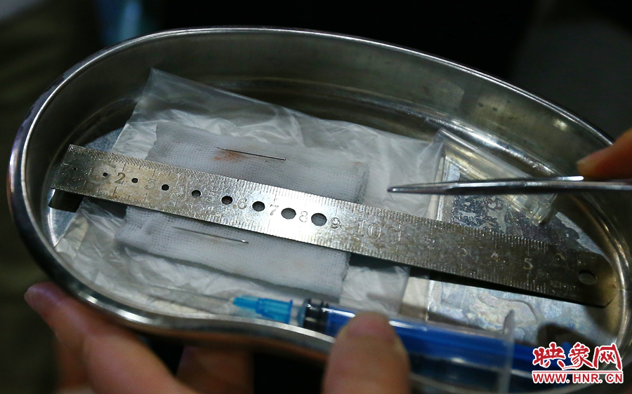 大龍顱內(nèi)取出的鋼針（上）和小龍顱內(nèi)的一樣（下），均為2.5厘米