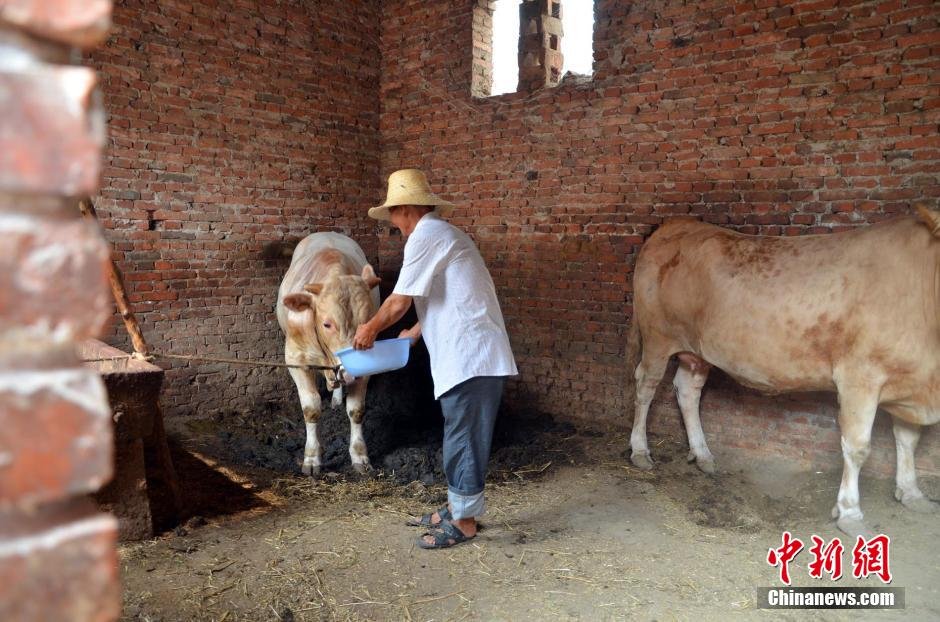 同時(shí)，地下水位的持續(xù)下降以及部分山泉水的干涸，已造成全縣2.85萬人和2000頭大牲畜出現(xiàn)飲水困難。