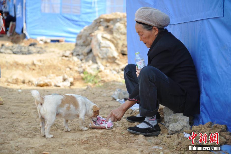 8月6日，一名老人將剛領(lǐng)到的礦泉水分給小狗。