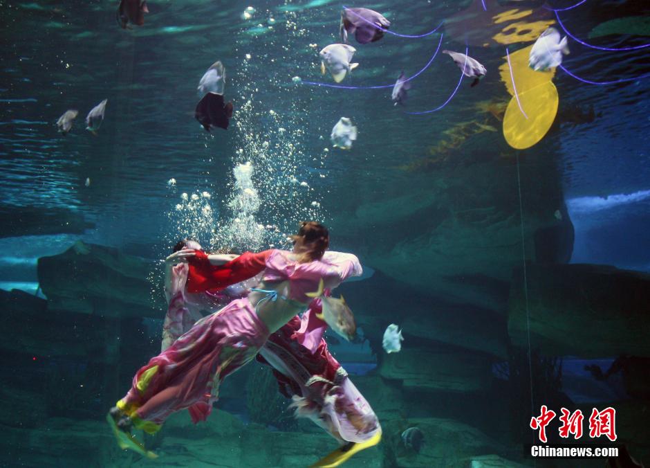 9月7日，在中秋節(jié)到來前一天，山東泉城海洋極地世界為游客帶來“嫦娥水中奔月”表演。