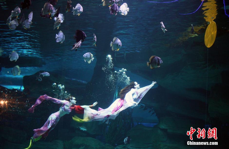 9月7日，在中秋節(jié)到來前一天，山東泉城海洋極地世界為游客帶來“嫦娥水中奔月”表演。