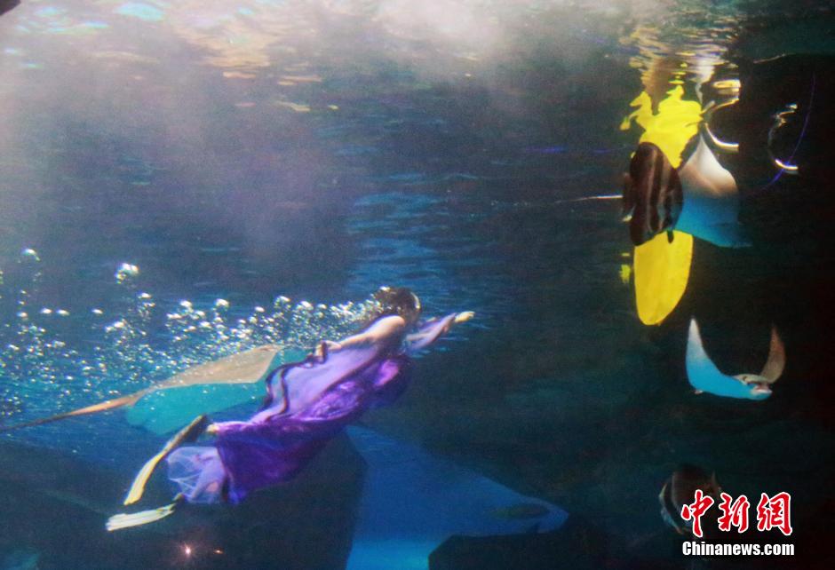 9月7日，在中秋節(jié)到來前一天，山東泉城海洋極地世界為游客帶來“嫦娥水中奔月”表演。