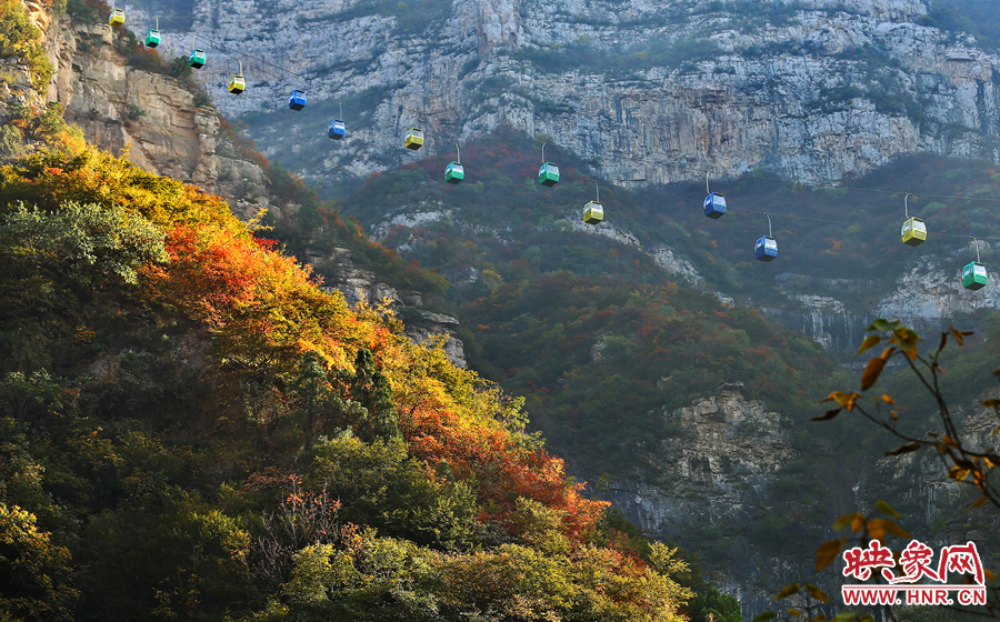 索道下的山坡，陽(yáng)光灑在色彩繽紛的樹葉上