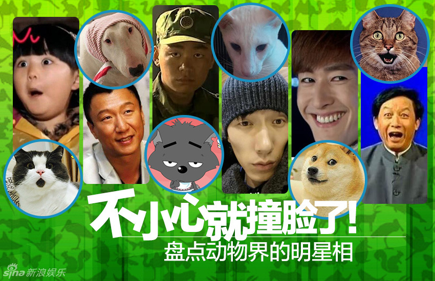 不小心就撞臉了！盤點動物界的明星相