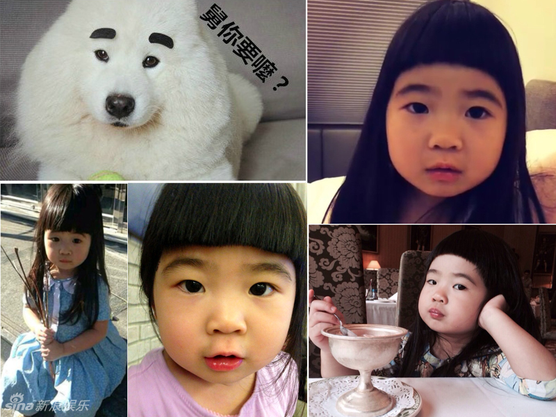 不小心就撞臉了！盤點動物界的明星相