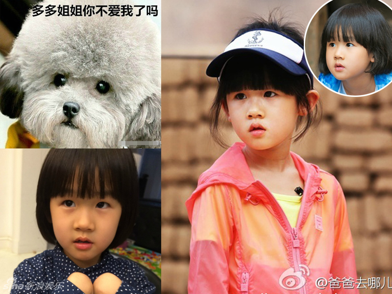 不小心就撞臉了！盤點動物界的明星相