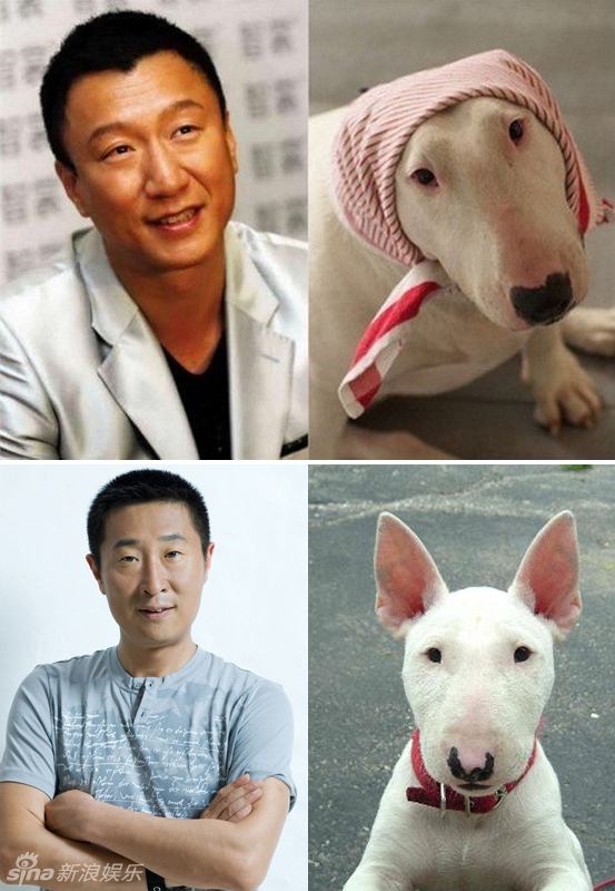 不小心就撞臉了！盤點動物界的明星相