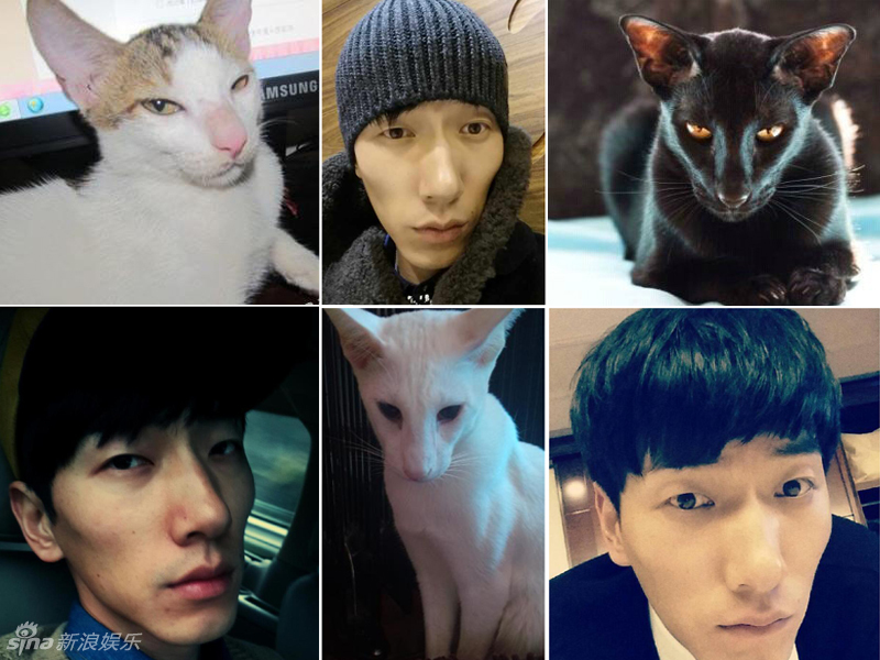 不小心就撞臉了！盤點動物界的明星相