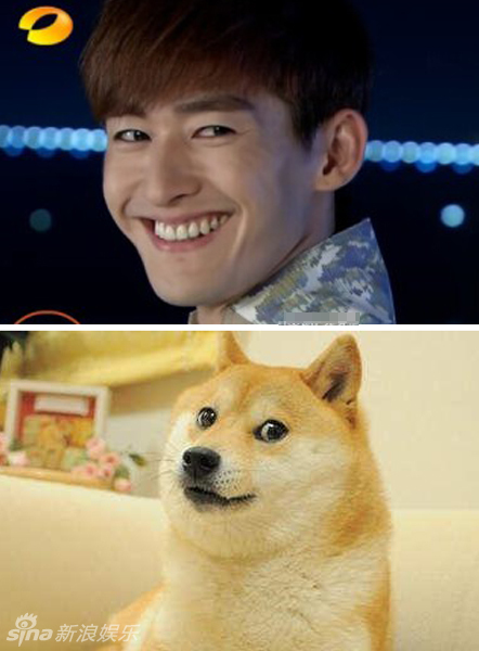 不小心就撞臉了！盤點動物界的明星相