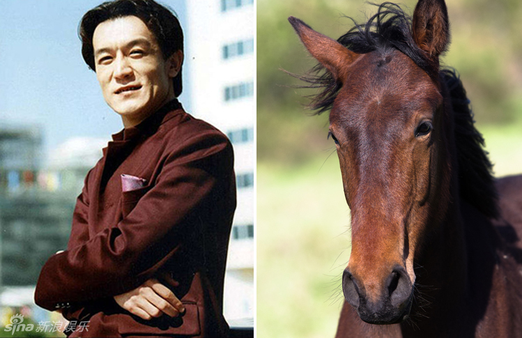 不小心就撞臉了！盤點動物界的明星相