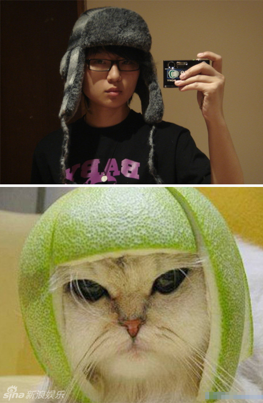 不小心就撞臉了！盤點動物界的明星相