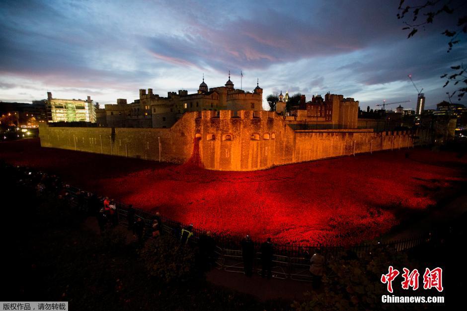 當(dāng)?shù)貢r間2014年11月10日，英國倫敦，倫敦塔周邊“種植”了888246朵陶瓷材質(zhì)的罌粟花，以此紀(jì)