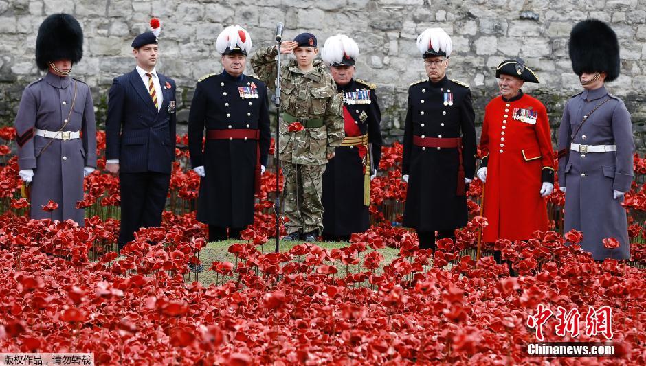 當(dāng)?shù)貢r間2014年11月10日，英國倫敦，倫敦塔周邊“種植”了888246朵陶瓷材質(zhì)的罌粟花，以此紀(jì)