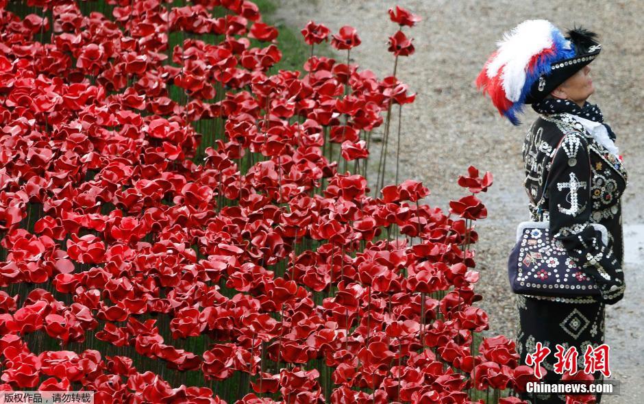 當(dāng)?shù)貢r間2014年11月10日，英國倫敦，倫敦塔周邊“種植”了888246朵陶瓷材質(zhì)的罌粟花，以此紀(jì)