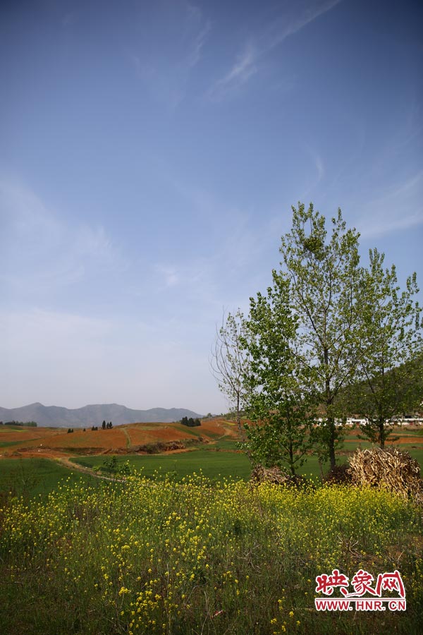 庫區(qū)的藍天、白云、綠樹、黃花給人清新的享受