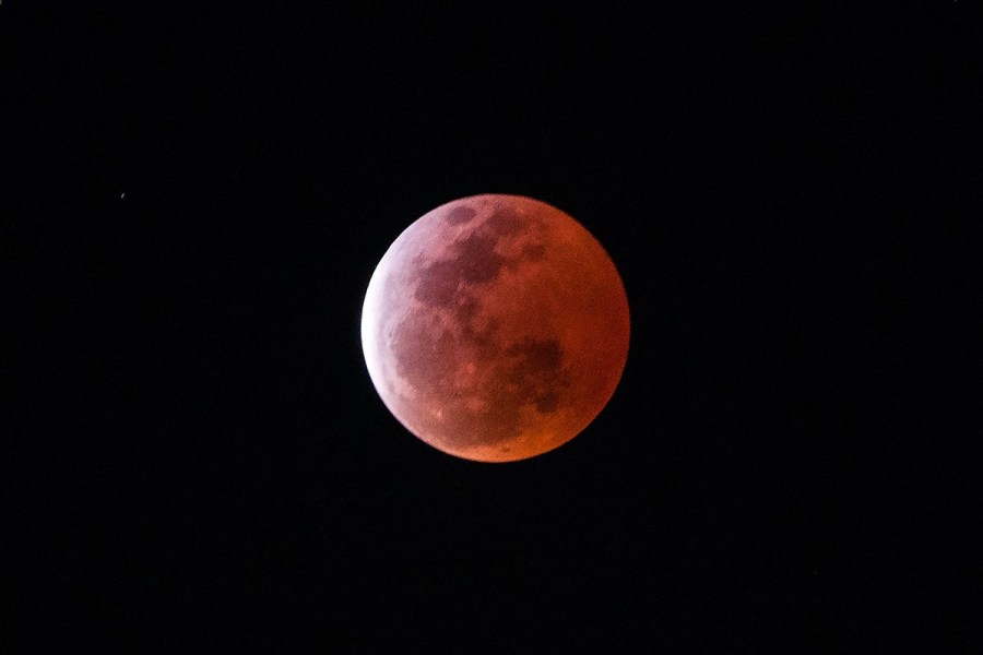 4月4日，福州上空出現(xiàn)紅月亮。楊婀娜/CFP