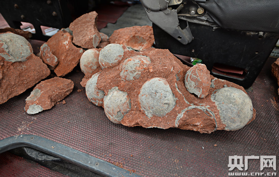 其中完整的19枚，都是直徑約13厘米的“大個子”。