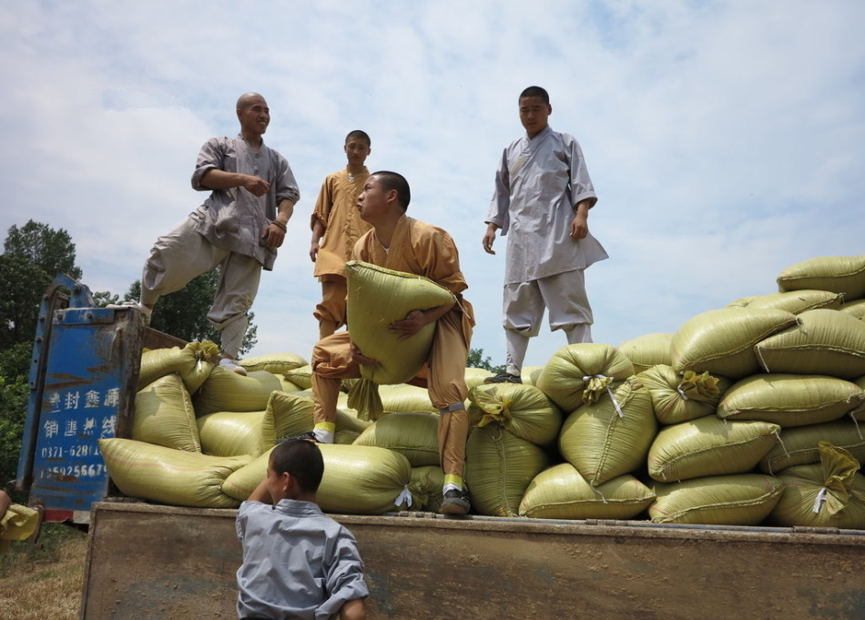武僧將打包后的糧食集中至運輸車輛上。