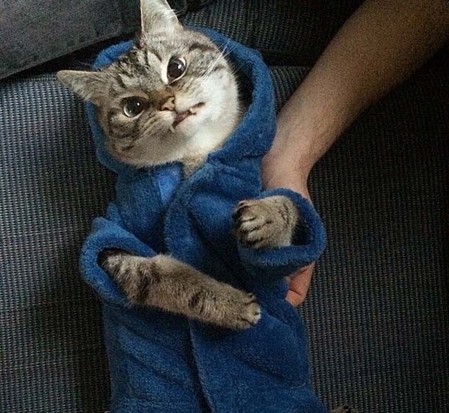 身穿浴袍的Loki好像看起來也沒那么兇哦。