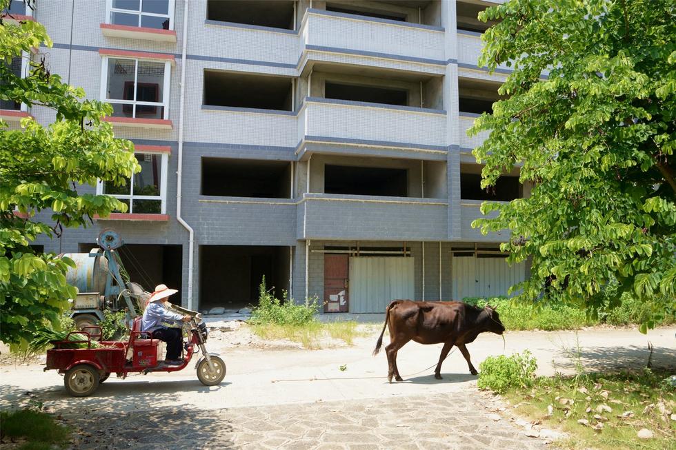 2016年7月26日，村民在廣西來賓市忻城縣隆達(dá)山水福城荒廢別墅間放牛。