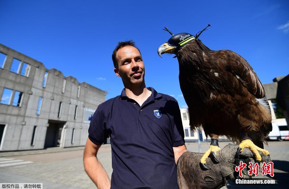 圖片默認(rèn)標(biāo)題 圖片默認(rèn)標(biāo)題