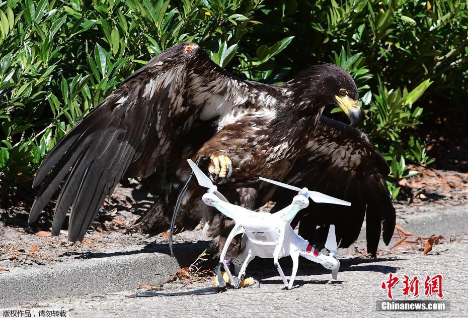 圖片默認(rèn)標(biāo)題 圖片默認(rèn)標(biāo)題