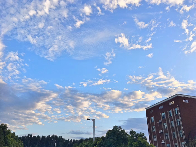 又被鄭州的藍天刷屏！隨便一拍就是手機壁紙