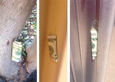 “隱藏的鈔票”會被神秘人藏在公園、廁所等“奇怪的地方”。