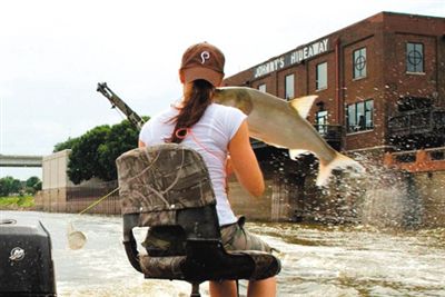 亞洲鯉魚突然躍出水面，對游客“發(fā)動襲擊”。