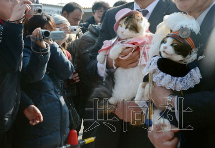 圖為粉絲們簇擁著“阿玉”站長（右）。左側(cè)為其部下“二玉”。