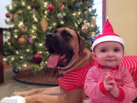 圖為美國2歲大的寵物犬與主人9個(gè)月大的女嬰。圖片來源：臉譜網(wǎng)站（Facebook）。
