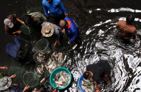 泰國(guó)當(dāng)局派人到商場(chǎng)底部捕魚（圖片來源網(wǎng)絡(luò)）