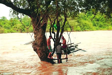 蓋屋、種菜，“從沒這樣快樂”