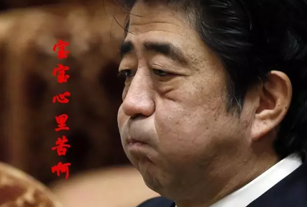 這種看安倍“熱鬧”的事兒，環(huán)環(huán)絕不私藏，一定雨露均沾!