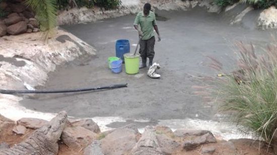 穆克的養(yǎng)殖場，鱷視眈眈下的工作人員。