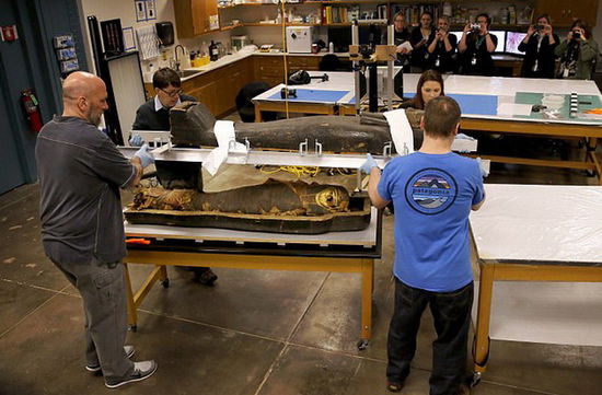 2500年前古埃及石棺首見天日 木乃伊腳趾外露(組圖) 2500年前古埃及石棺首見天日 木乃伊腳趾外露(組圖)