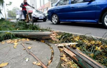 事發(fā)現(xiàn)場，嫌疑車輛撞壞的木樁。