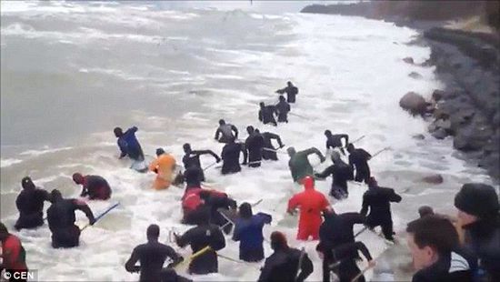 一場暴雨后，俄羅斯加里寧格勒Pionersky鎮(zhèn)，數(shù)十人潛入海水中搜尋琥珀。